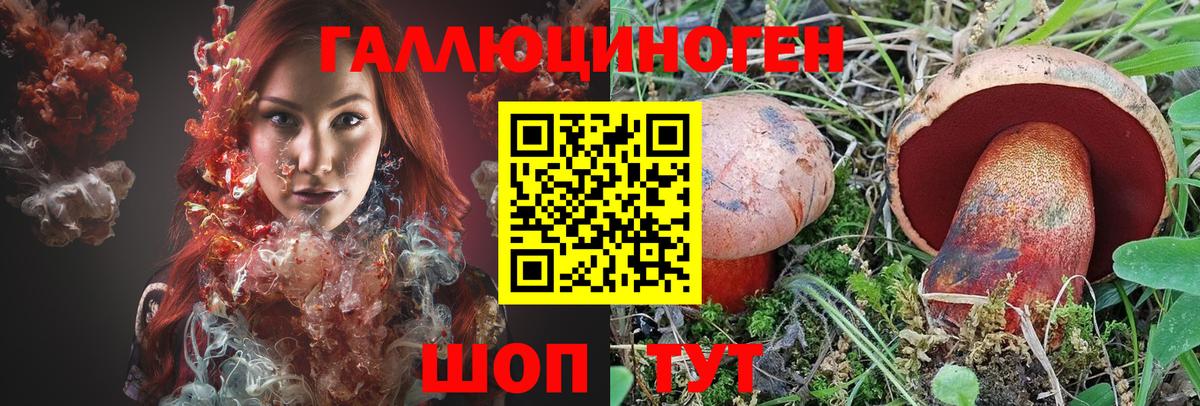 Псилоцибиновые грибы Cubensis  Вход с VPN  Галлюциногенные грибы GOLDEN TEACHER  Пугачёв 